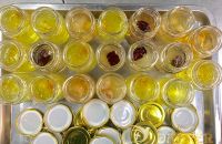 Tổ yến chưng đường phèn – Món ăn đơn giản, tác dụng “thần thánh”